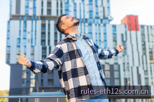 开奖期号与数字记录查询示意图